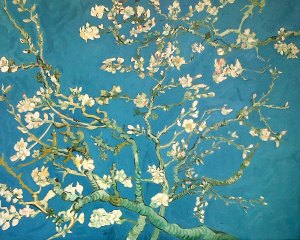 reproductie Amandelbloesem van Vincent van Gogh - KunstReplica